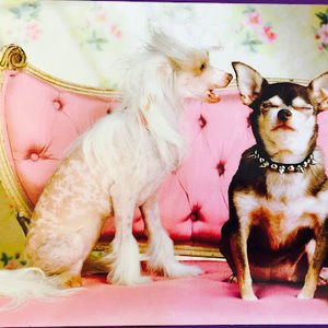 Meet your Posher, Parker